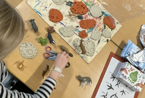 Finkenau-Stiftung bittet BVT um